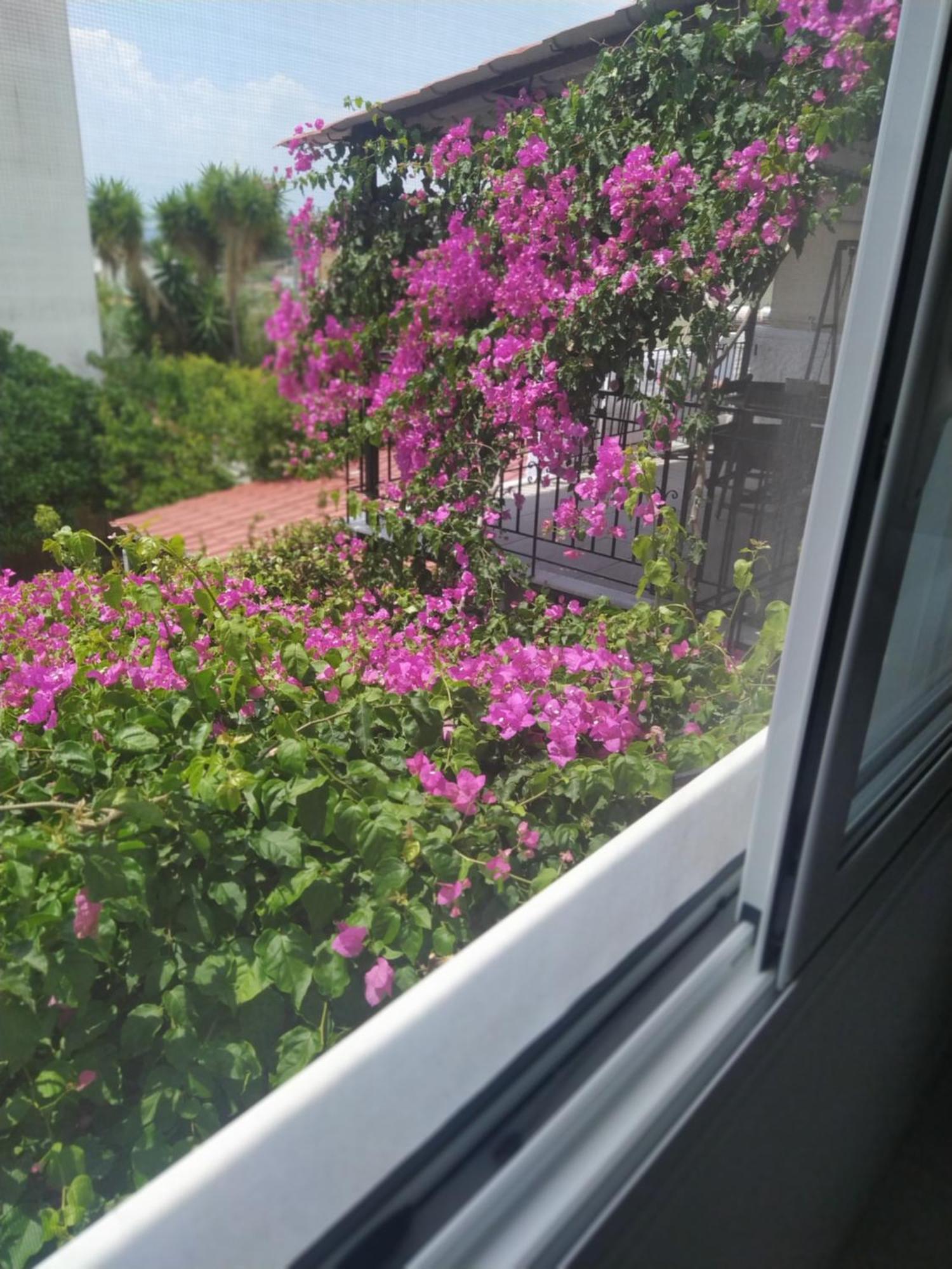 Kritharia Guesthouse Volos Exteriér fotografie
